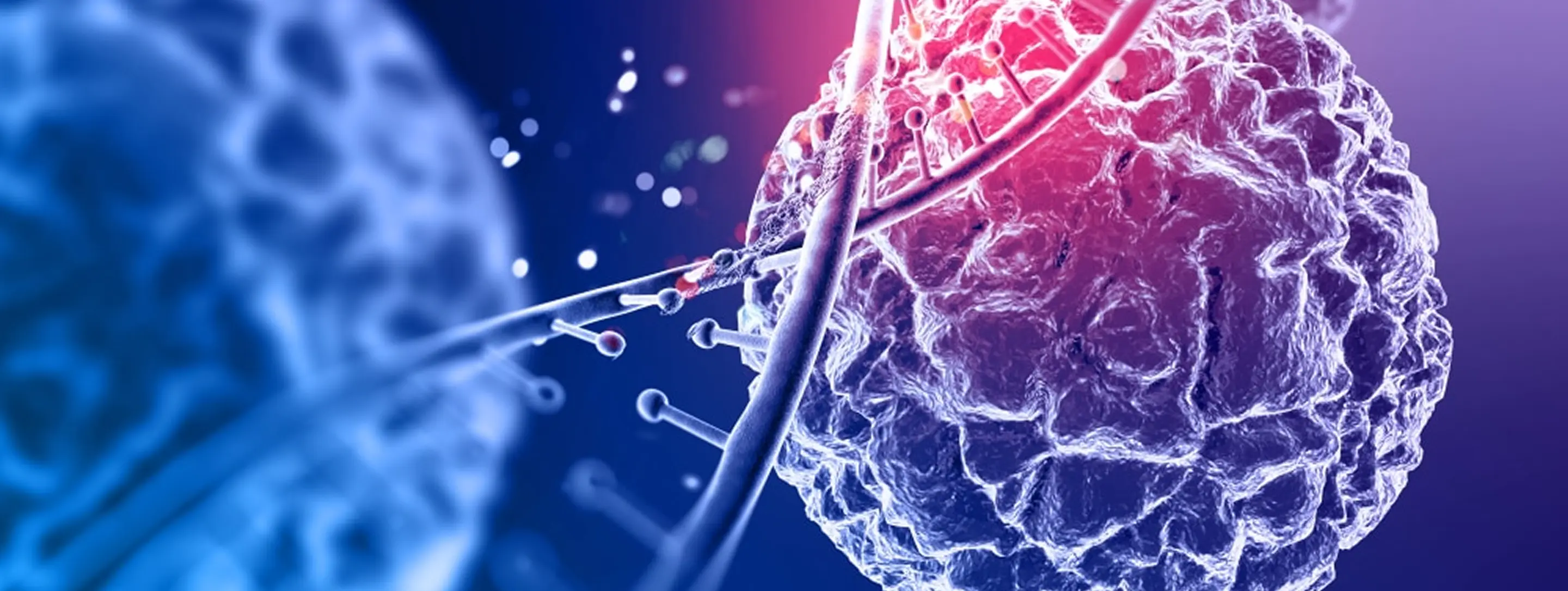 HD-PRP Therapy