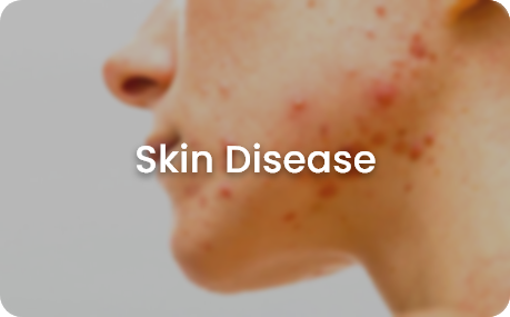Skin Page